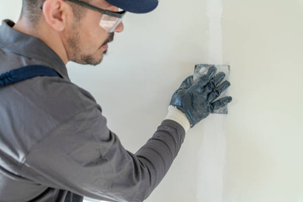Best Mold Prevention Services  in Garland, TX