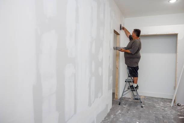 Best Mold Odor Removal Services  in Garland, TX