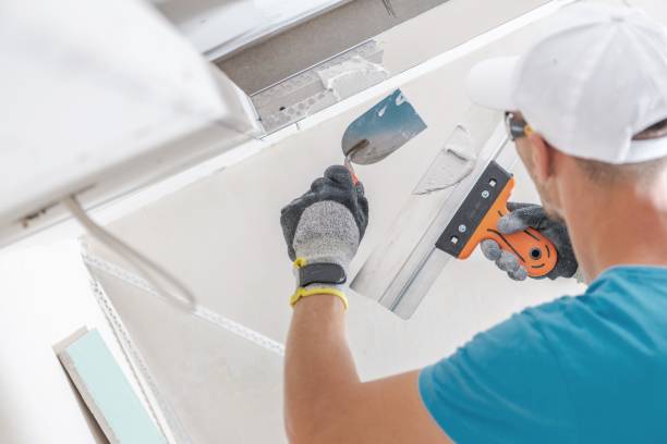 Best Attic Mold Removal  in Garland, TX